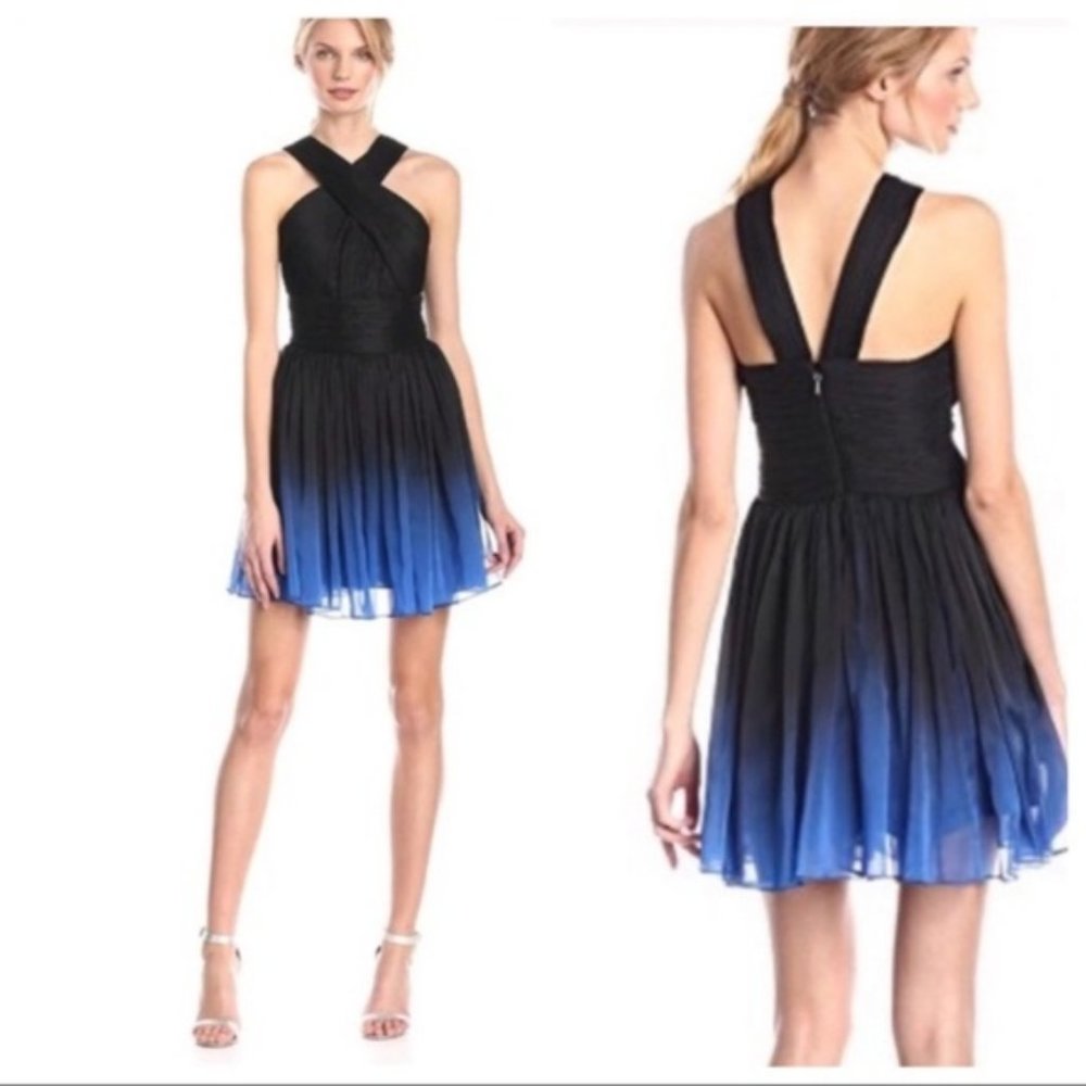 Halston Heritage Ombré Chiffon Halter Dress